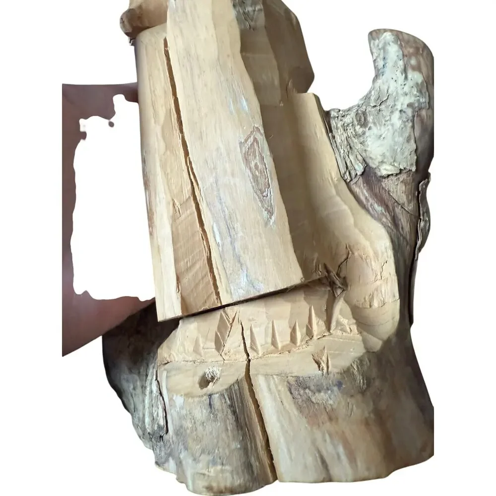 Unbranded coffee root